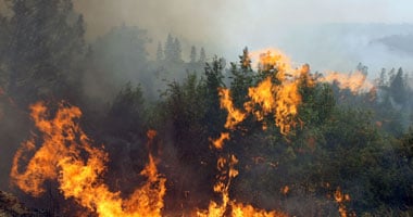 الحرائق تحاصر مركزاً نووياً فى منطقة الأورال الروسية // الأحد، 8 أغسطس 2010 - 21:24 S7200815123445
