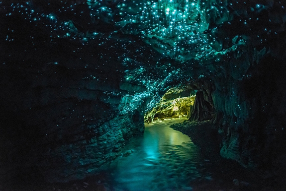 The 100 Most Beautiful and Breathtaking Places in the World in Pictures Glow-worm-cave-new-zealand