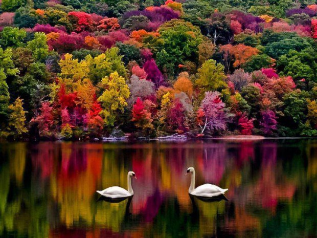 من حول العالم..!! Autumn-in-New-Hampshire-USA-620x465