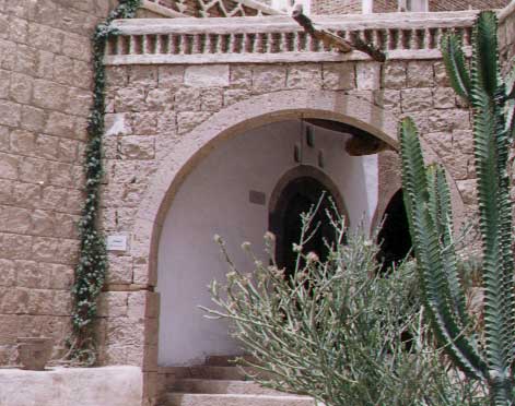 متحف الصقر اليماني 17