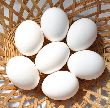  الأبداع بقشر البيض Eggs-570540_640-465x458