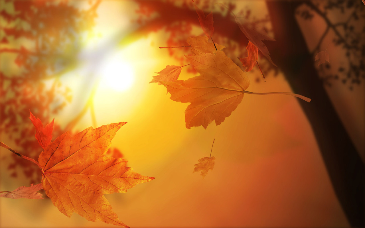 Slike za danas - Page 4 Nature_Seasons_Autumn_Autumn_Sun_025912_