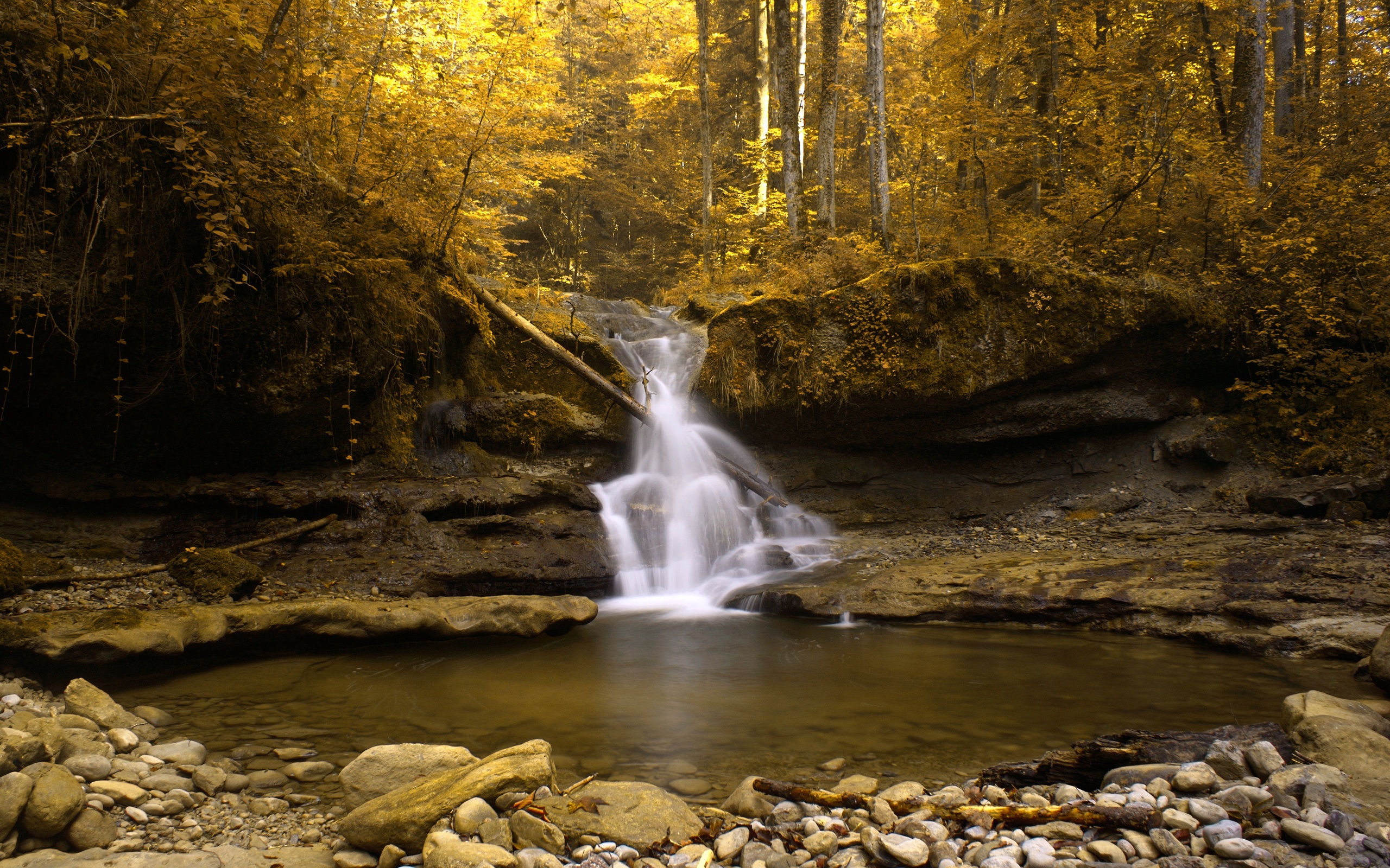 Водопада на желанията.  Nature_Forest_A_waterfall_in_a_yellow_wood_021175_