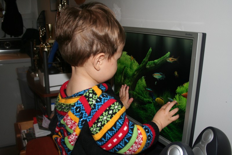 حوض اسماك حقيقي مع صوت الماء على شاشتك Sammy-dream-aquarium