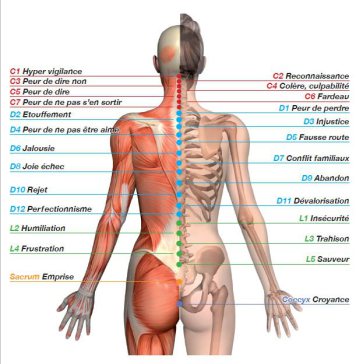 La maladie, LE MAL A DIT… La relation entre les émotions et les maladies 1413808958age-dos