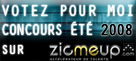 Buzz sur alex Zicmeup-ete2008-votez-pour-moi