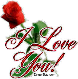 دوبـــني دوب بقلـمــــــي I_love_you_single_red_rose