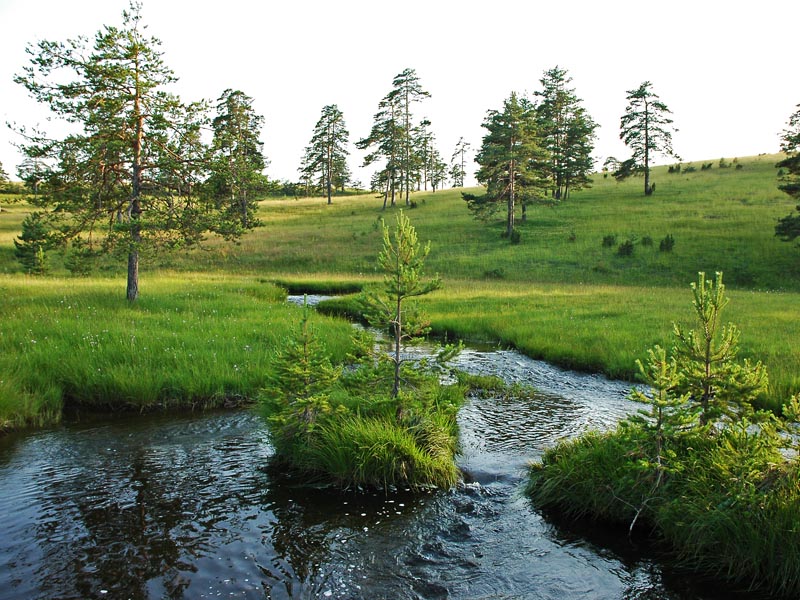 Srpski turizam - Planine - Page 2 Zlatibor_rzav08