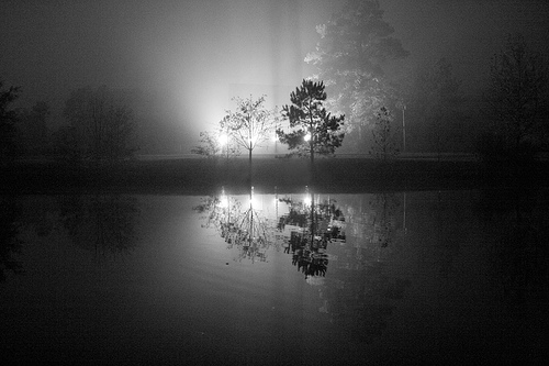 Muerte,dolor y duelo Blanco-y-negro