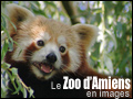 Zoo d'Amiens