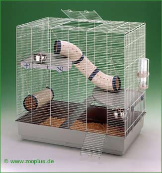 cherche cage type furet dbut aot 9353_1