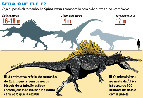 Descubierto nuevo Spinosaurus en Brasil 20060301-spinosaurus