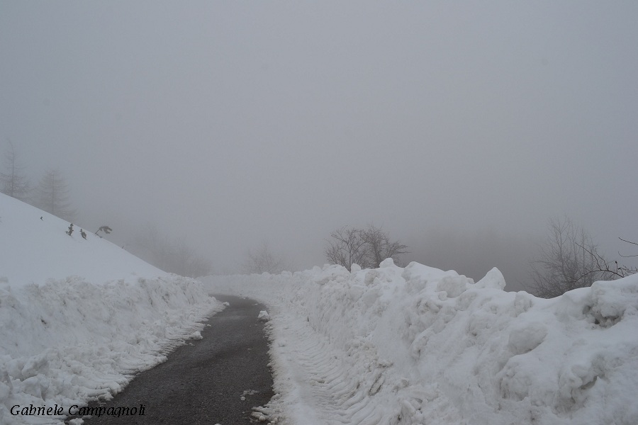 Nivotour Monte Penice (PV) 1400m 29/3/2013 - 1 metro di neve DSC-0135