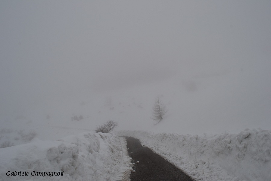 Nivotour Monte Penice (PV) 1400m 29/3/2013 - 1 metro di neve DSC-0137