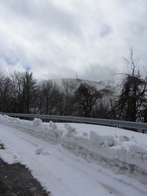 Nivotour Monte Penice (PV) 1400m 29/3/2013 - 1 metro di neve 12549799