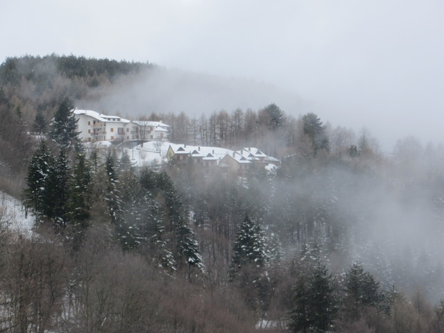 Nivotour Monte Penice (PV) 1400m 29/3/2013 - 1 metro di neve 12549854