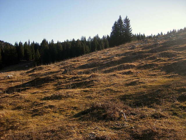 Asiago - niente neve - FOTO fra storia e paesaggi 7160964