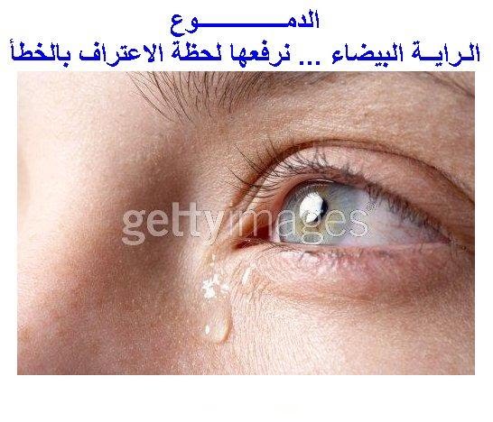 كلمات ليست ككل الكلمات 335244908