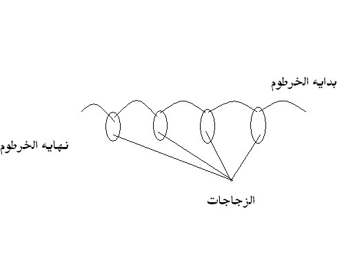  فكره لتدفئه عشش الولاده فى مزارع الأرانب  حصرياًعلى منتدى الأرانب للجميع  852056062