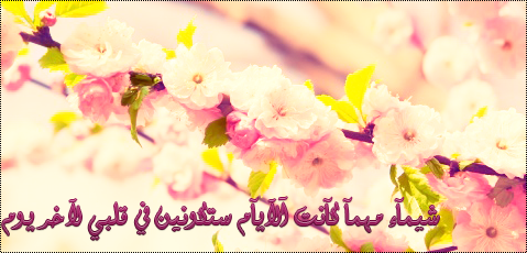 يّ فُتُآة منٌ آرض آلآبّدُآع "شّيّوِمۂ" ^-^  559943527