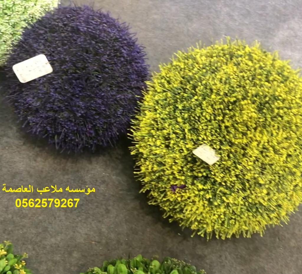 مؤسسه,ملاعب,العاصمة,ديكورات,عشب,صناعي,تركيب,توريد,جملة,عشب,جداري,0562579267 731690010