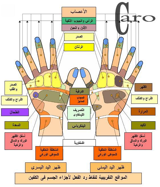 ^^العلاج بتدليك القدم بالصور^^ 221537104