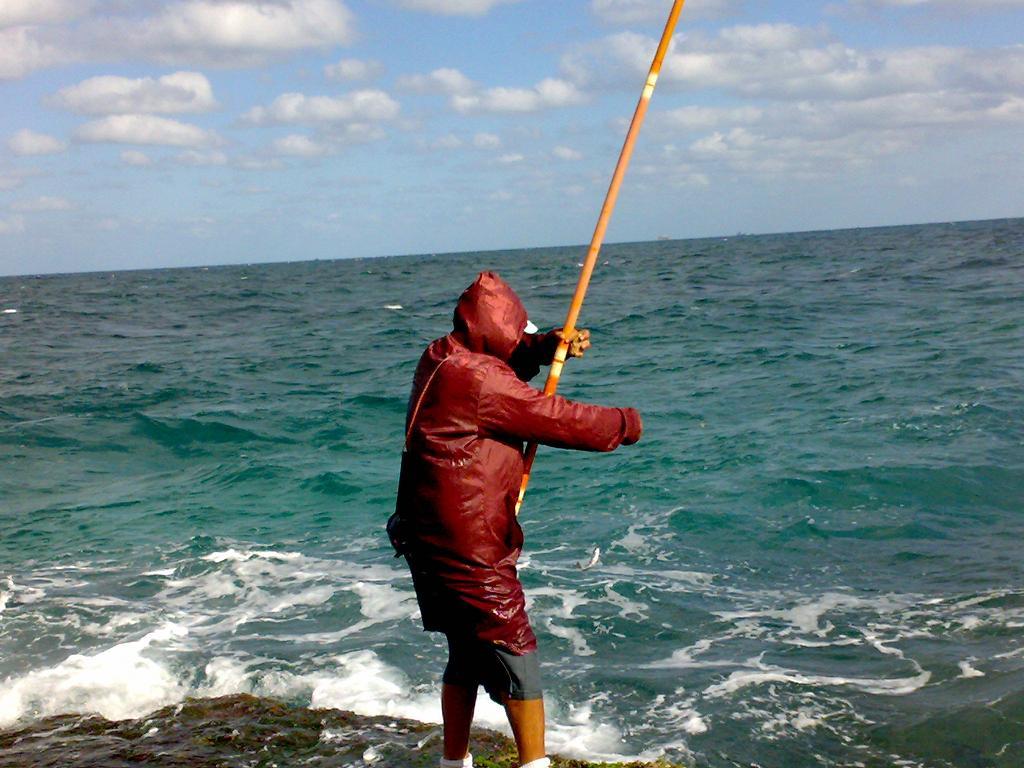 صور رحلات فريق عمر الصياد فى جزيرة نيلسون 7-1-2011 414638503