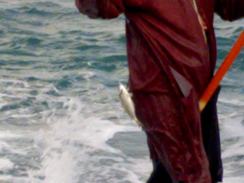صور رحلات فريق عمر الصياد فى جزيرة نيلسون 7-1-2011 751026350