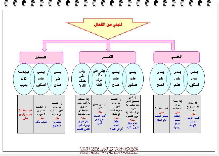 مع الخرائط الذهنية لقواعد اللغة العربية  743692233