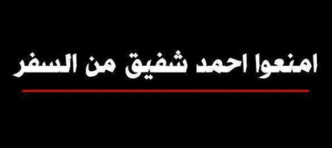  البلوفر بيهيس .. عايز يبقى ريس 393442390