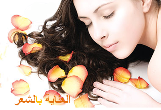 العناية بالشعر معنا  962856562