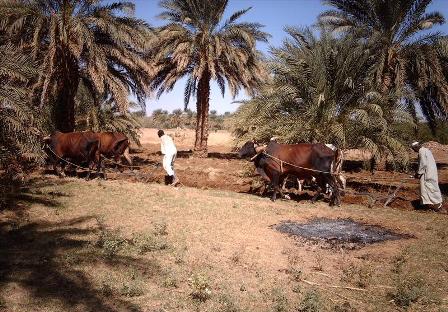 رحلة داخل الريف المصرى قديما ايام زمان وحتى الان  410024163