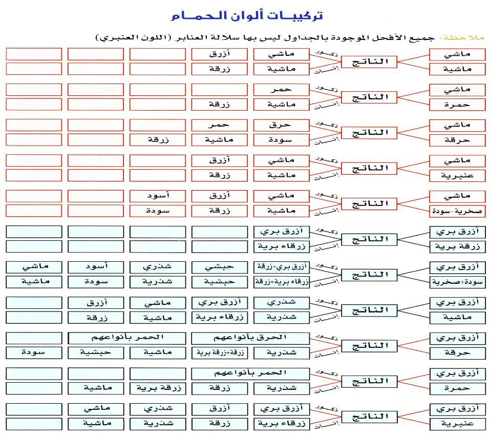 جدول تراكيب الحمام 450781112