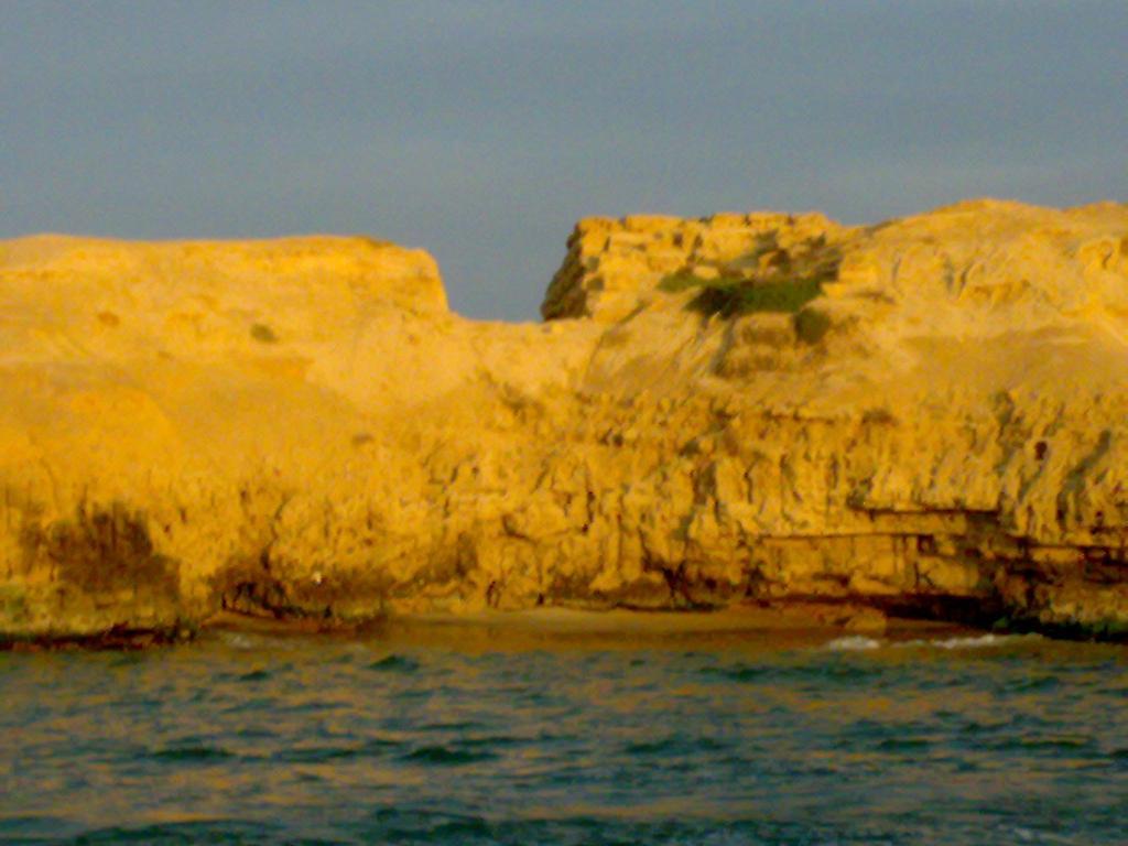 صور رحلات فريق عمر الصياد ليوم 25-1-2011 الى جزيرة نيلسون 846994472