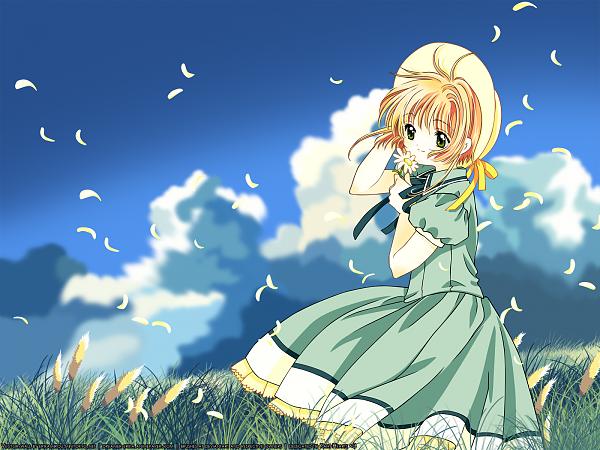 صور للانمي card captor sakura  995987200