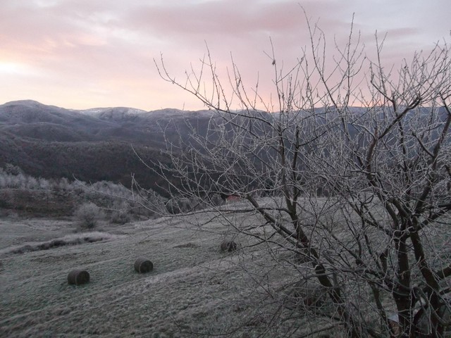 Tiglieto Sabato mattina al risveglio.... 11659930