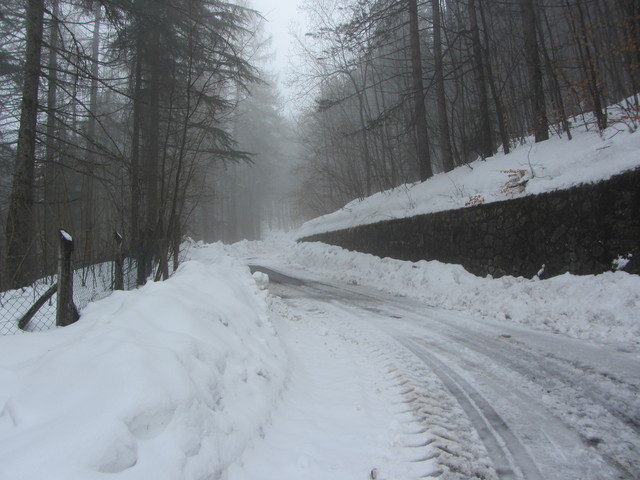 Nivotour Monte Penice (PV) 1400m 29/3/2013 - 1 metro di neve 12549925