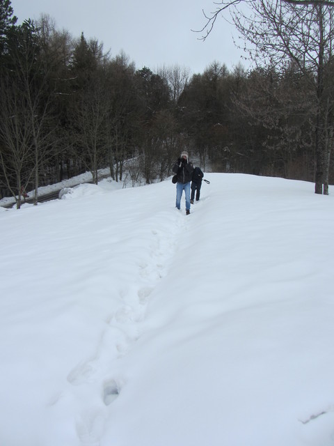 Nivotour Monte Penice (PV) 1400m 29/3/2013 - 1 metro di neve 12549980