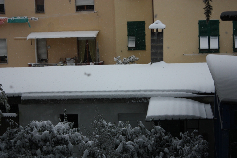 Venerdi 17 Dicembre 2010 la grande nevicata Toscana (Empoli e Salvino (Vinci) 4738205
