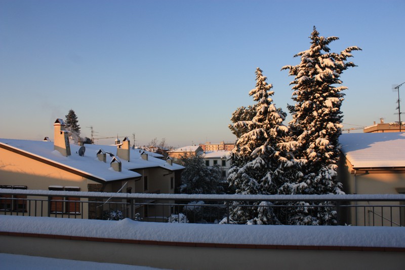 2010 - Venerdi 17 Dicembre 2010 la grande nevicata Toscana (Empoli e Salvino (Vinci) 4738485