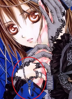 Vampire Knight object/logo symbolisms 6251090