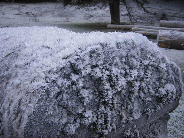 Asiago - niente neve - FOTO fra storia e paesaggi 7161020