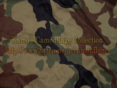 Japan "Opposite forces" camouflage  Jasdf_camo