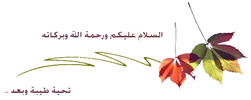 حرب اكتوبر ( وعد الله يتحقق ) 873824825