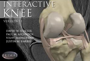 Interactive 3D Anatomy 252333740