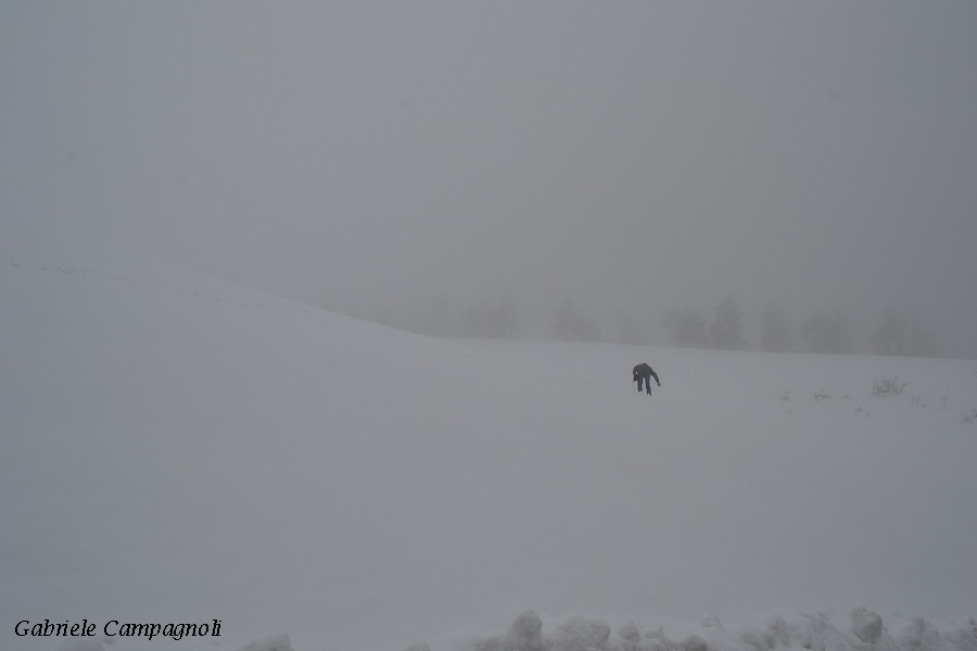 Nivotour Monte Penice (PV) 1400m 29/3/2013 - 1 metro di neve DSC-0155