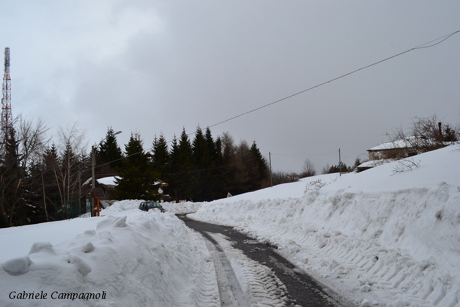Nivotour Monte Penice (PV) 1400m 29/3/2013 - 1 metro di neve DSC-0175