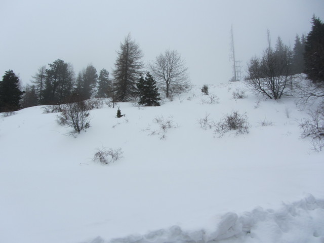 Nivotour Monte Penice (PV) 1400m 29/3/2013 - 1 metro di neve 12550021