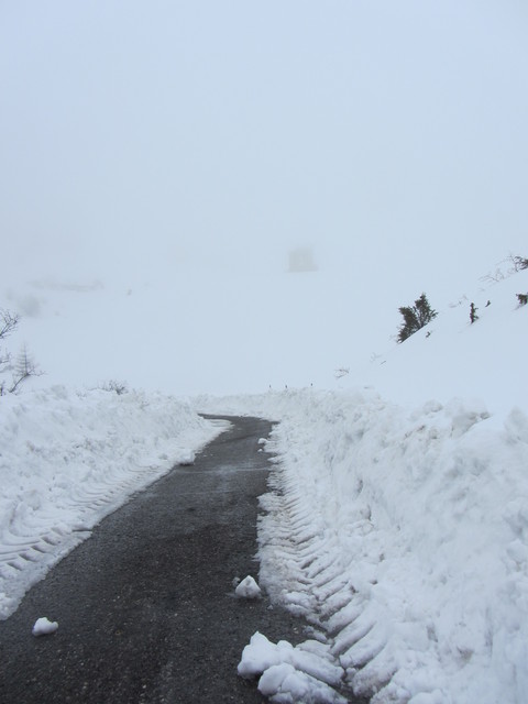 Nivotour Monte Penice (PV) 1400m 29/3/2013 - 1 metro di neve 12550091