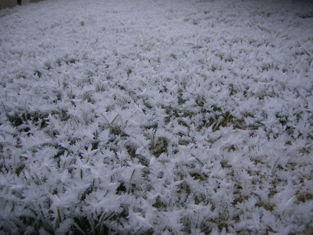 Asiago - niente neve - FOTO fra storia e paesaggi 7161006